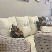Reyo Garden Sümela 3+1+1 Masalı Alüminyum Üzeri Örme Rattan Balkon Bahçe Mobilyası - 3