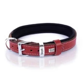 Doggie Konfor Kemik Desenli Deri Köpek Boyun Tasması Kırmızı 2x35-40 Cm Medium - 2