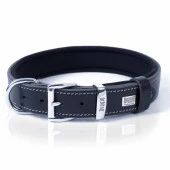 Doggie Konfor Kemik Desenli Deri Köpek Boyun Tasması Siyah 3x42-50 Cm Medium thumbnail 1