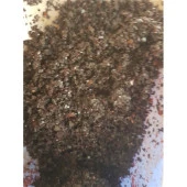 Siyah Pul Biber (İsot) Maraş 500Gr - 1