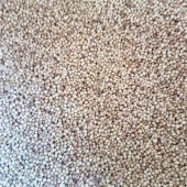 Kişniş  Baharat 250Gr - 1