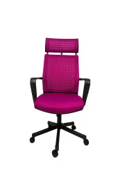 Gizmo Efor Fileli Şef Bilgisayar Ofis Çalışma Koltuğu Fk1401 Pembe - 1