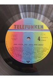 1982 Evelyn Künneke – Sing Evelyn Sing Revue Eines Lebens - vinyl - 33lük plak - 6