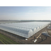 Branda Naylon 6m 300 Mikron Şeffaf - 2