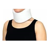 Case Süngerli Boyunluk Large - 1