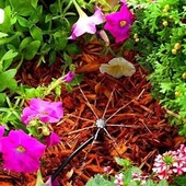 15 Metre Bahçe Damlama Sulama Sistemi Seti Hortum ve Ek Parçaları - 6