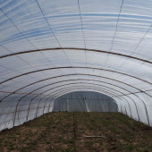 36 Ay Sera Naylon Full Katkılı 10m x 50m - 2
