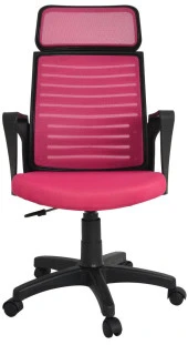 Bürocci Likya Plastik Ayaklı Çalışma Koltuğu-Pembe File-2284B0548 - 2