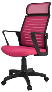 Bürocci Likya Plastik Ayaklı Çalışma Koltuğu-Pembe File-2284B0548 - 3