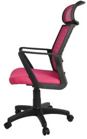 Bürocci Likya Plastik Ayaklı Çalışma Koltuğu-Pembe File-2284B0548 - 4