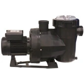 Astral Victoria Plus 1 HP Trifaze Kendinden Emişli Havuz Pompası - 1