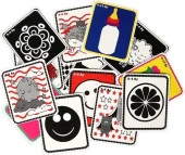 Diytoy Bebeğimin İlk Zeka Kartları (Flash Kart)  1369 thumbnail 3