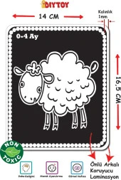 Diytoy Bebeğimin İlk Zeka Kartları (Flash Kart)  1369 thumbnail 4