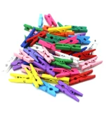 Hayal Sepeti Renkli Ahşap Mini Mandal 100 Adet 2,5cm boy - 1