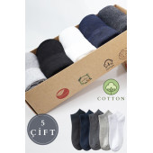 Erkek Pamuklu Extra Konforlu ve Yumuşak File Vedili Çorap Seti 5 Çift Kutulu - 1