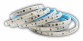 25 METRE CATA CT 4477 220V 10 Cipli Yapışkanlı Amber Şerit Led - 1