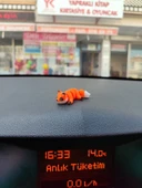Otomobil Aksesuarı Dikiz Aynası Aksesuarı Dikiz Aynası Süsü Sevimli Tilki Tiny Fox - 4