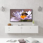 Next YE-42020G6 42" 106 Ekran Uydu Alıcılı Full HD LED TV - 4