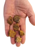 Doğal Kaplangözü Küçük Parçalar 50 Gram 430-2 - 1