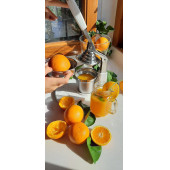 Liva Beyaz Meyve Presi Narenciye Sıkacağı - 3