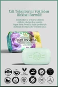 Nesti Dante Philosophia Detox Katı Sabun 250 gr | Detoks ve Aydınlatıcı | Defne, Lotus Çiçeği, Beyaz Nilüfer thumbnail 2
