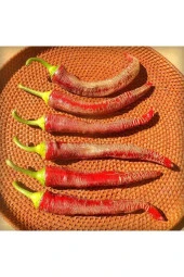 Ayc Botanik 20 Adet Rhizah Macedonia Biber Tohumu - 1