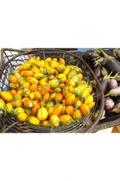 Ayc Botanik 20 Adet Striped Togo Patlıcan Tohumu - 2