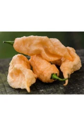 Ayc Botanik Sarı Bhut Jolakia Acı Biber Tohumu 10 Adet - 1