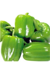 Ayc Botanik 10 Adet Yeşil Dolmalık Biber Tohumu - 1