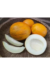 Ayc Botanik Atalık Nadir Kazak Kavunu Tohumu - 1