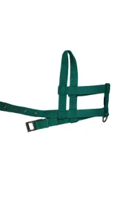 Lovely Ayarlanır Köpek Göğüs Tasması 2cm 5-17 Kg Aralığındaki Köpeklere AÇIK YEŞİL - 1