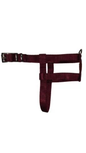 Lovely Ayarlanır Köpek Göğüs Tasması 2cm 5-17 Kg Aralığındaki Köpeklere VİŞNE - 1