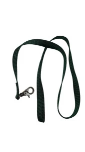 Lovely Kedi Köpek Şerit Gezdirme Kayışı Yeşil 1,5cm - 120cm - 1