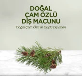 Eyüp Sabri Tuncer Doğal Çam Özlü Diş Macunu 90 ml 3 Adet - 4
