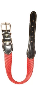 Lovely Köpek Boyun Tasma 2,5cm-56cm KIRMIZI - 1