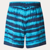 Oakley BLUR STRIPES RC 16" BEACHSHORT Erkek Şort  OAK.FOA405398-OAK.9ZM thumbnail 3