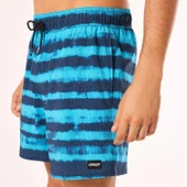 Oakley BLUR STRIPES RC 16" BEACHSHORT Erkek Şort  OAK.FOA405398-OAK.9ZM thumbnail 5