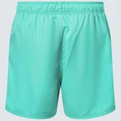 Oakley Beach volley 16" Beachshort Erkek Şort OAK.FOA404310-OAK.7GR-S1 thumbnail 1