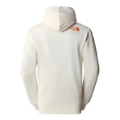 The North Face M GRAPHIC HOODIE 3 Erkek Sweat Shirt NF0A87ETQLI1 thumbnail 2
