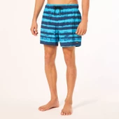 Oakley BLUR STRIPES RC 16" BEACHSHORT Erkek Şort  OAK.FOA405398-OAK.9ZM - 8