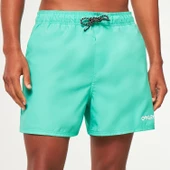 Oakley Beach volley 16" Beachshort Erkek Şort OAK.FOA404310-OAK.7GR - 9
