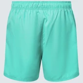 Oakley Beach volley 16" Beachshort Erkek Şort OAK.FOA404310-OAK.7GR - 2