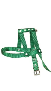 Lovely Ayarlanır Köpek Göğüs Tasması 2cm 5-17 Kg Aralığındaki Köpeklere YEŞİL - 1
