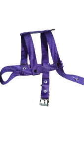 Lovely Ayarlanır Köpek Göğüs Tasması 2cm 5-17 Kg Aralığındaki Köpeklere MOR - 1