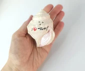 Tuzluk Biberlik Deniz Kabugu Baharatlık Mutfak Ev Dekorasyonu - 1