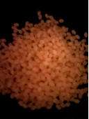 Eagenset Fosforlu Glow Turuncu Silikonlu Yumuşak Boncuk Olta Takımı, Çapari, Jig Yapım Malzemesi 50 Adet thumbnail 5