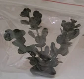 ÜÇGEN TABAN MİNİ YAPAY BİTKİ - 1