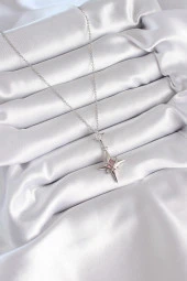 316L Çelik Gümüş Renk Zirkon Taşlı Kutup Yıldızı Model Kadın Kolye - EBJ240408W23477 thumbnail 2