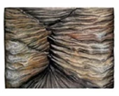 Arka Fon 60*5*45 Cm - 1