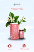 PANLIFE NİOLİ YAĞI 10 ML - 1